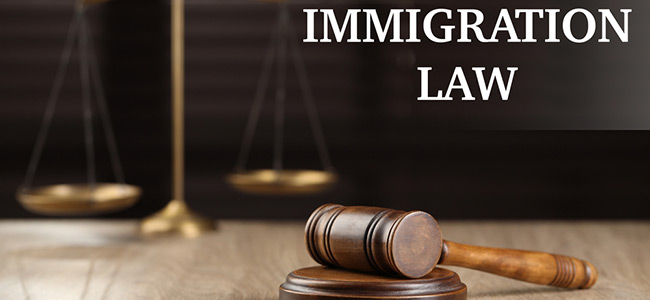 Immigration Law